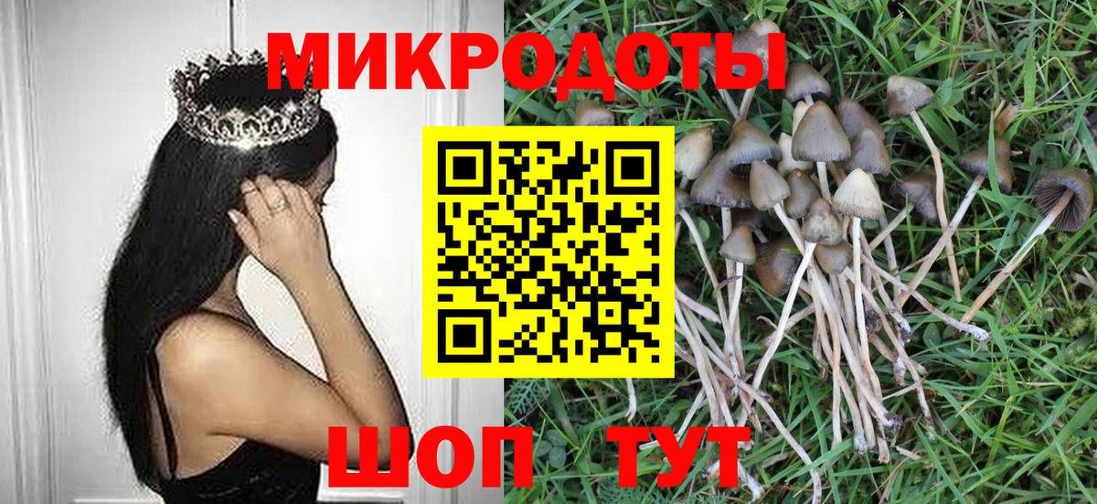 Псилоцибиновые грибы Magic Shrooms  Вход с VPN  купить   Сергиев Посад 